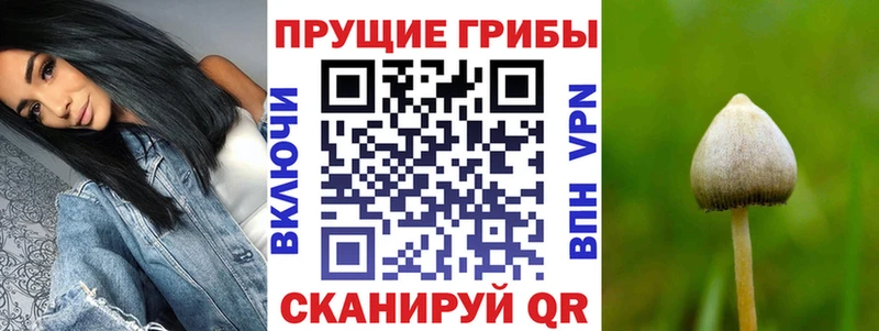Псилоцибиновые грибы мицелий  купить   MEGA tor  Иноземцево 